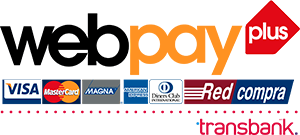 logo web pay plus